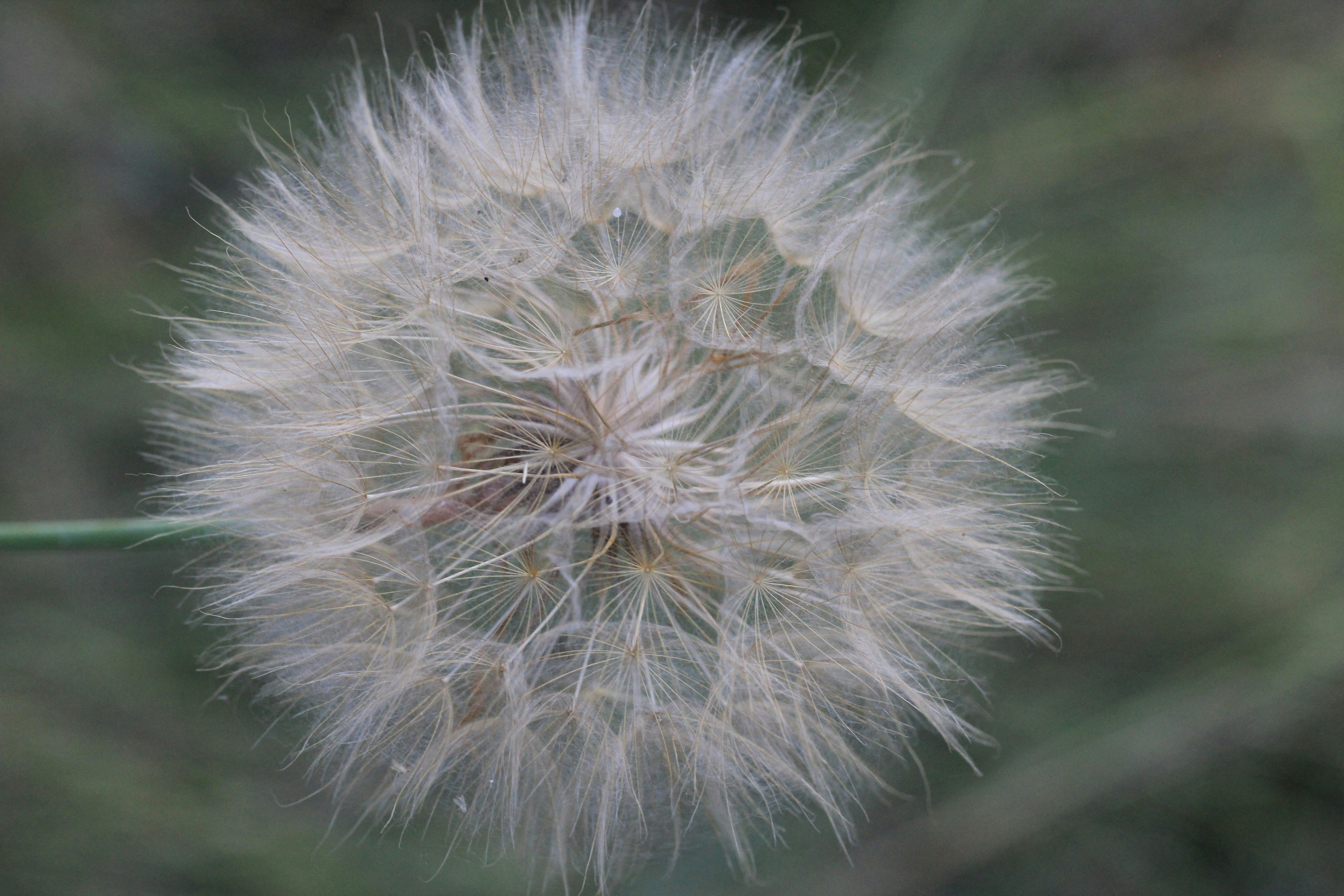 Photo by itetshifthappens