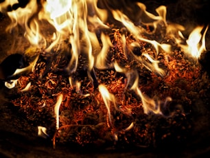 bonfire