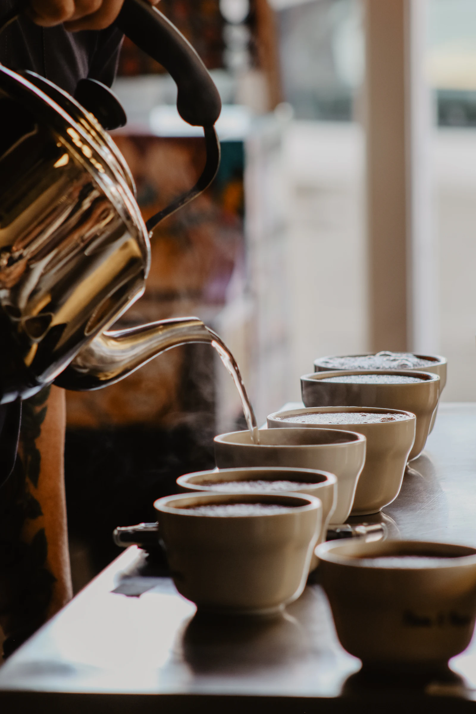 Hot water poured over ground coffee in a row of cupping cups