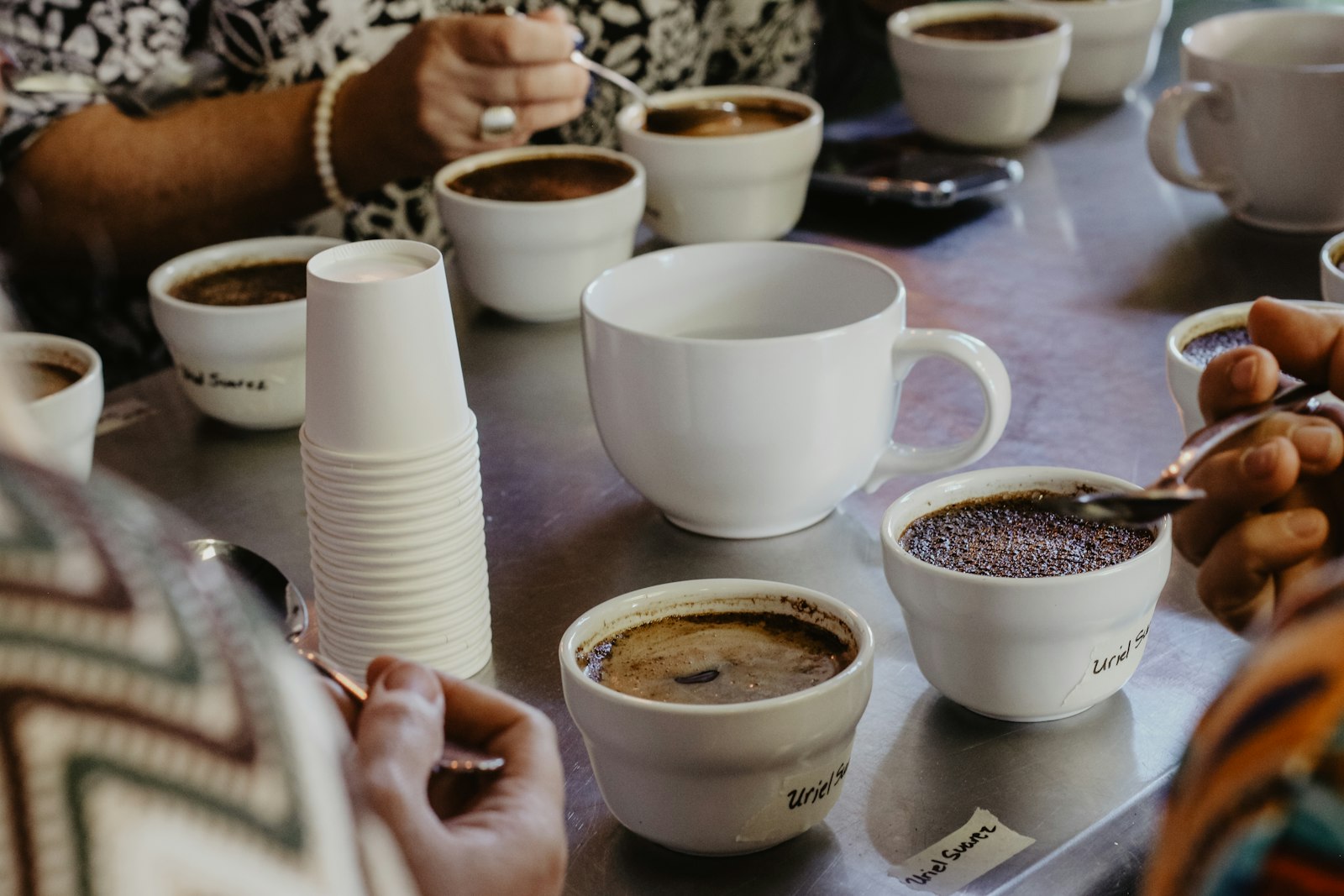 Dégustation au comptoir, six tasses alignées