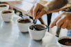 Close shot of a cupping session evaluating the aroma and flavor of freshly brewed coffee.