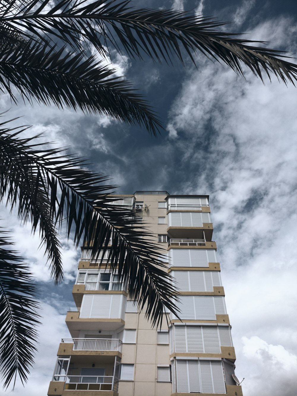 brown and white building