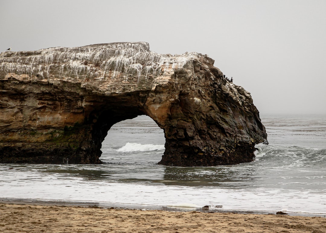 rock formation on shore