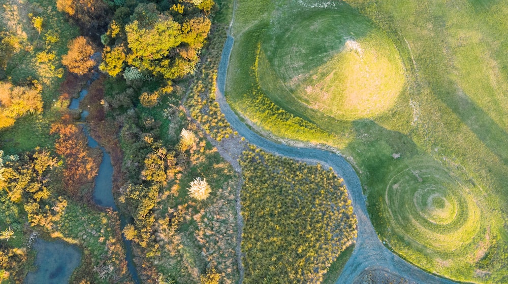 aerial photography of grass land