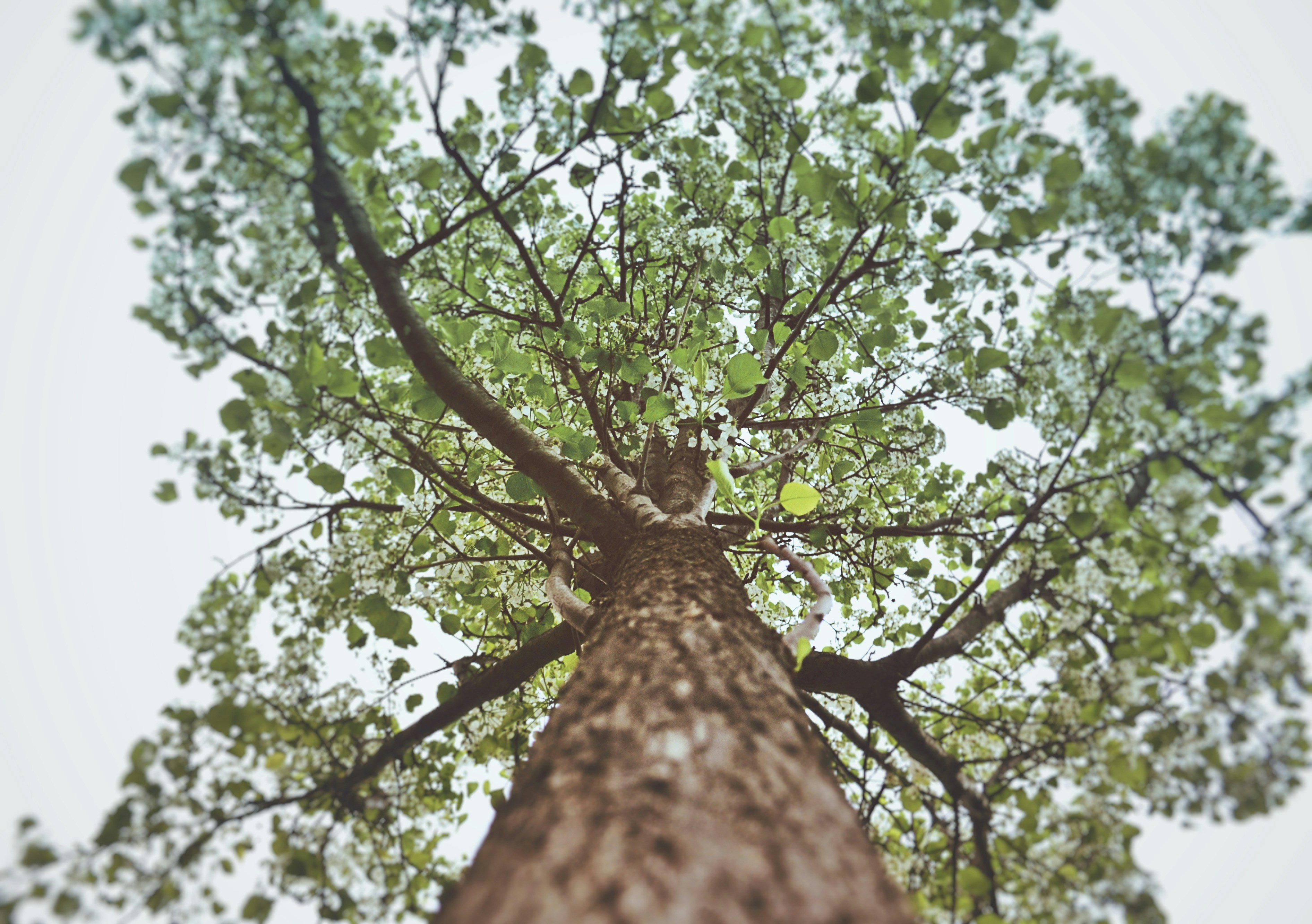 Photo by michealcopley03