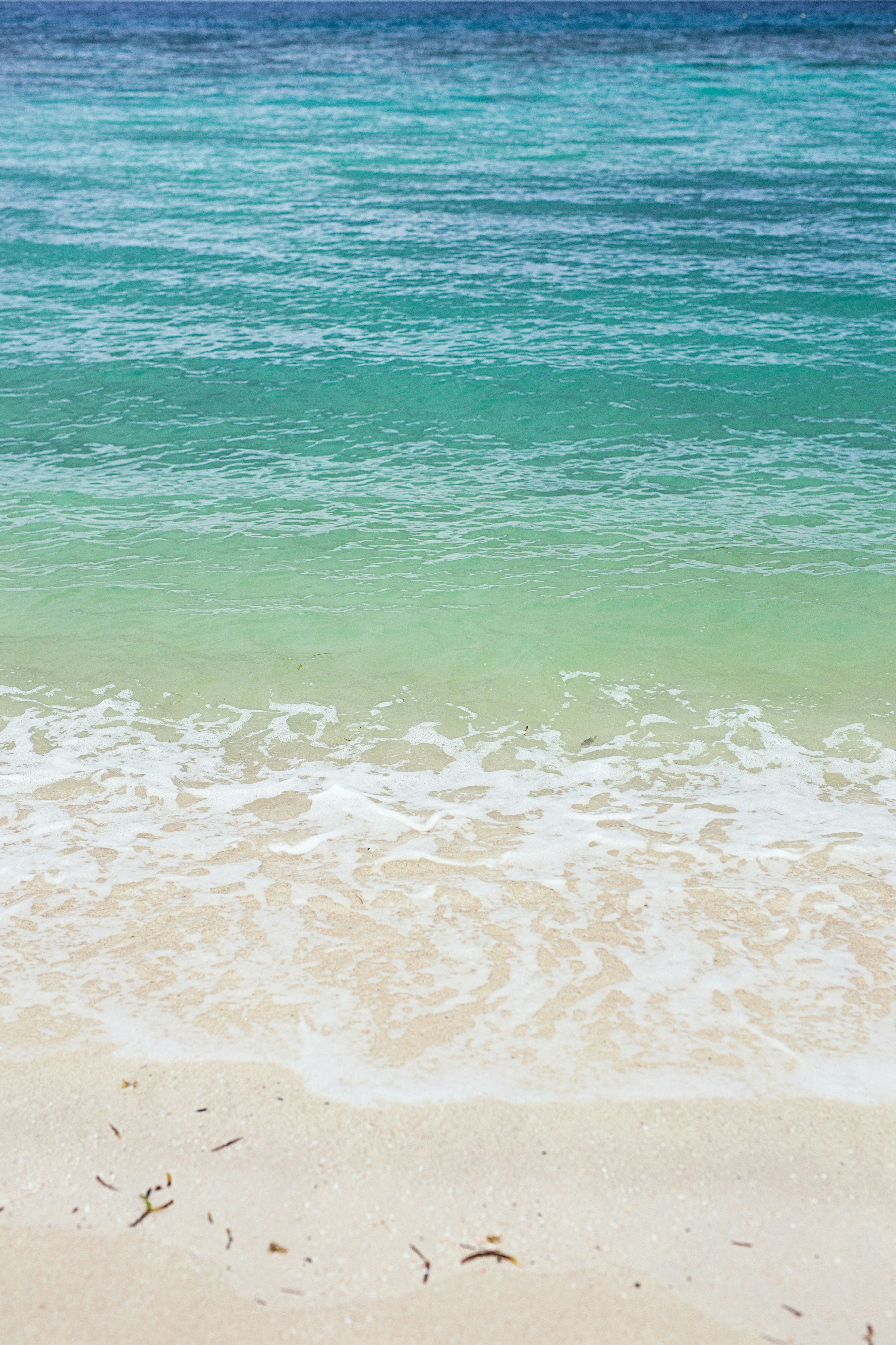 Photo by vinomamba24