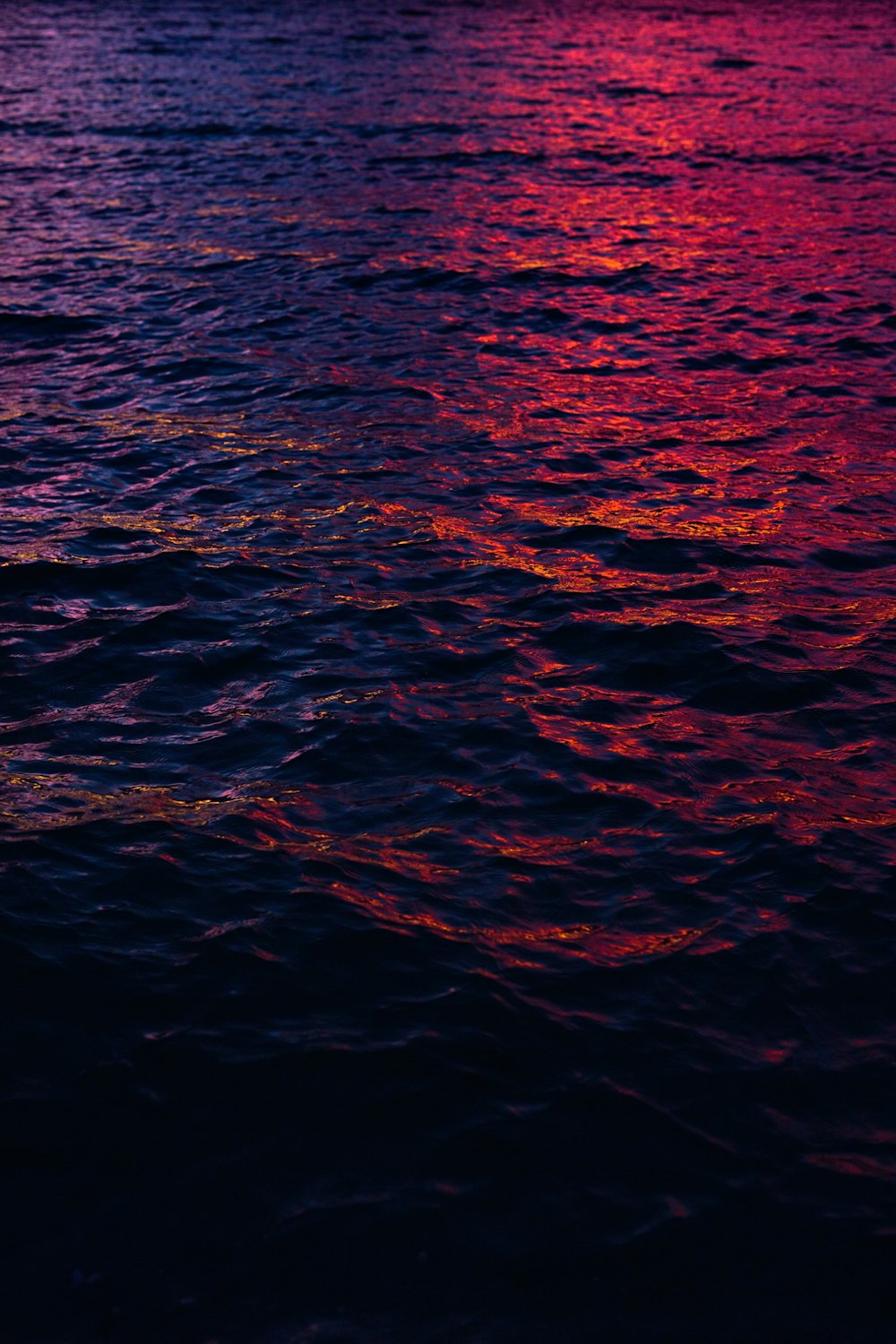 purple light through body of water