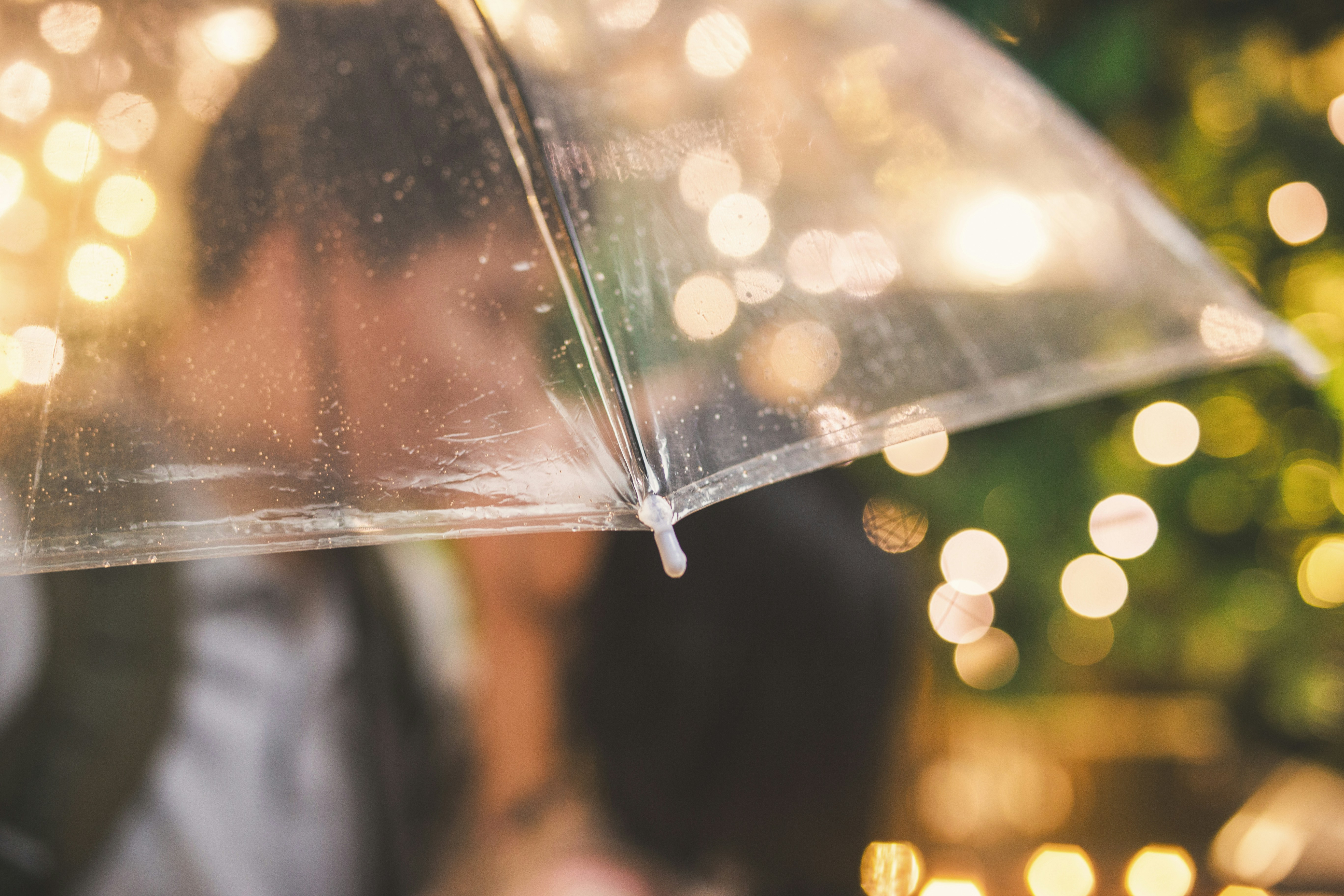 Photo by vinomamba24