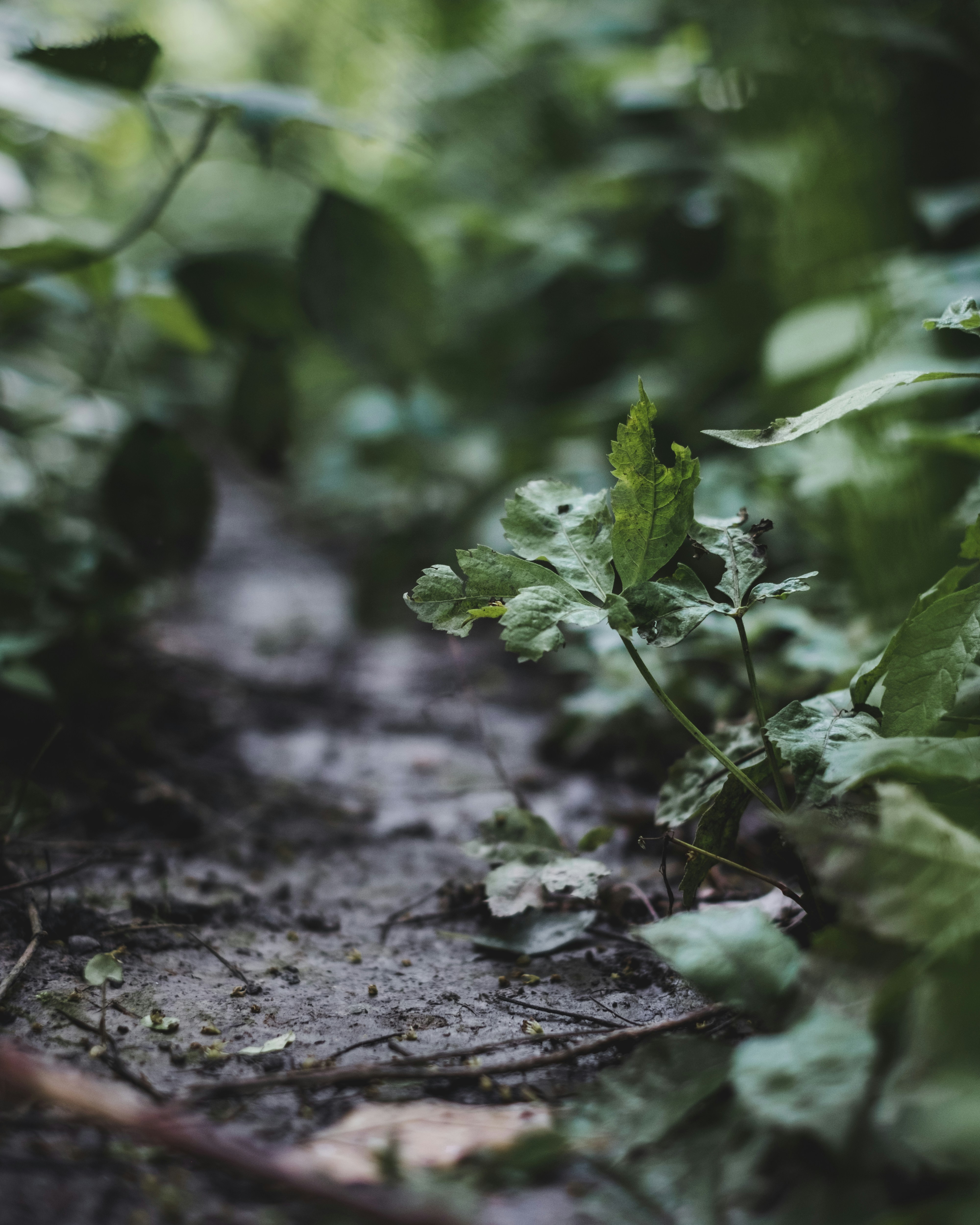 Photo by sonnertomeo