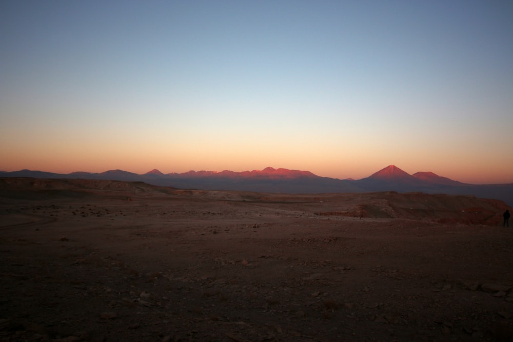 field at sunset