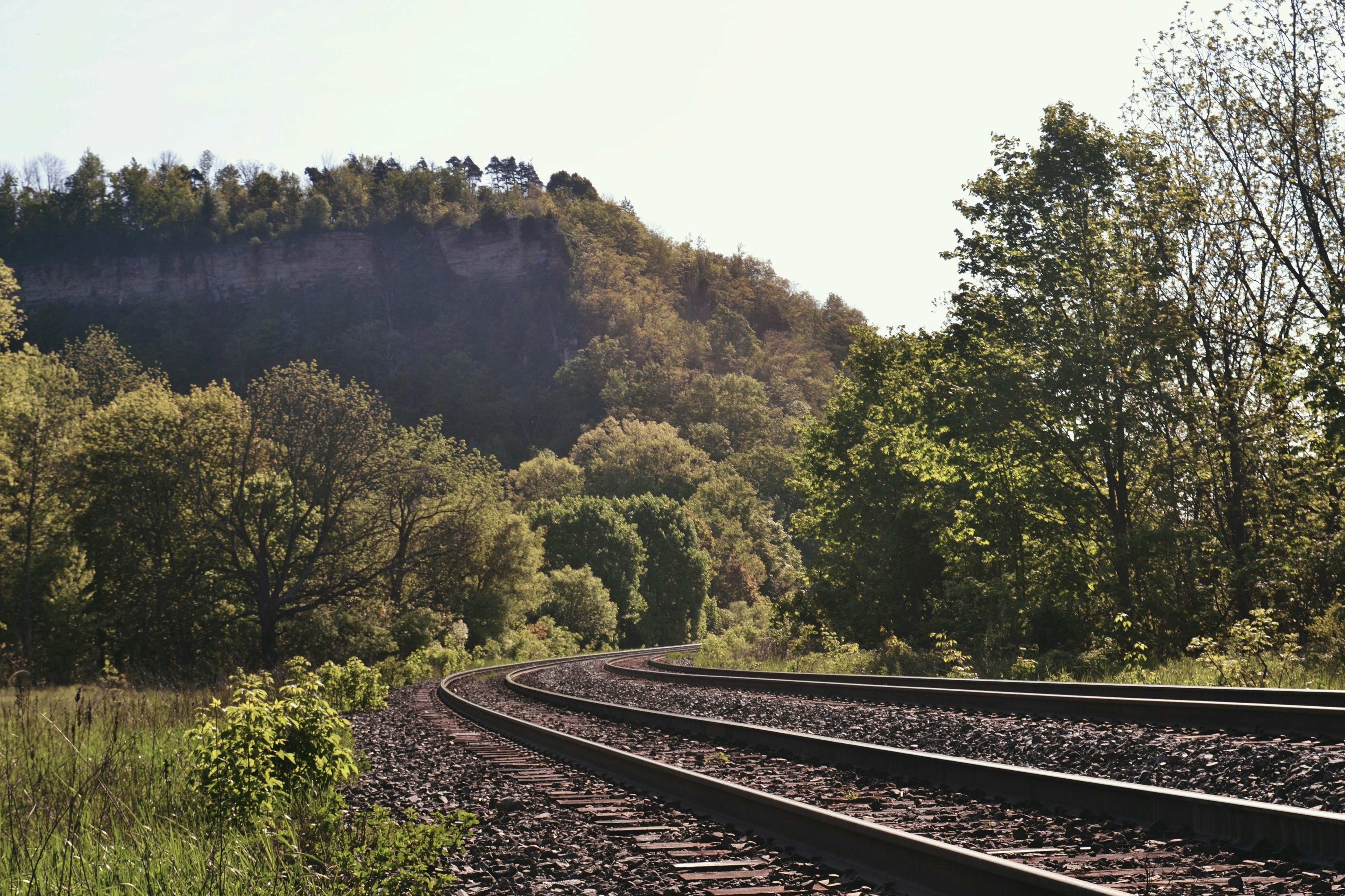 Photo by michealcopley03