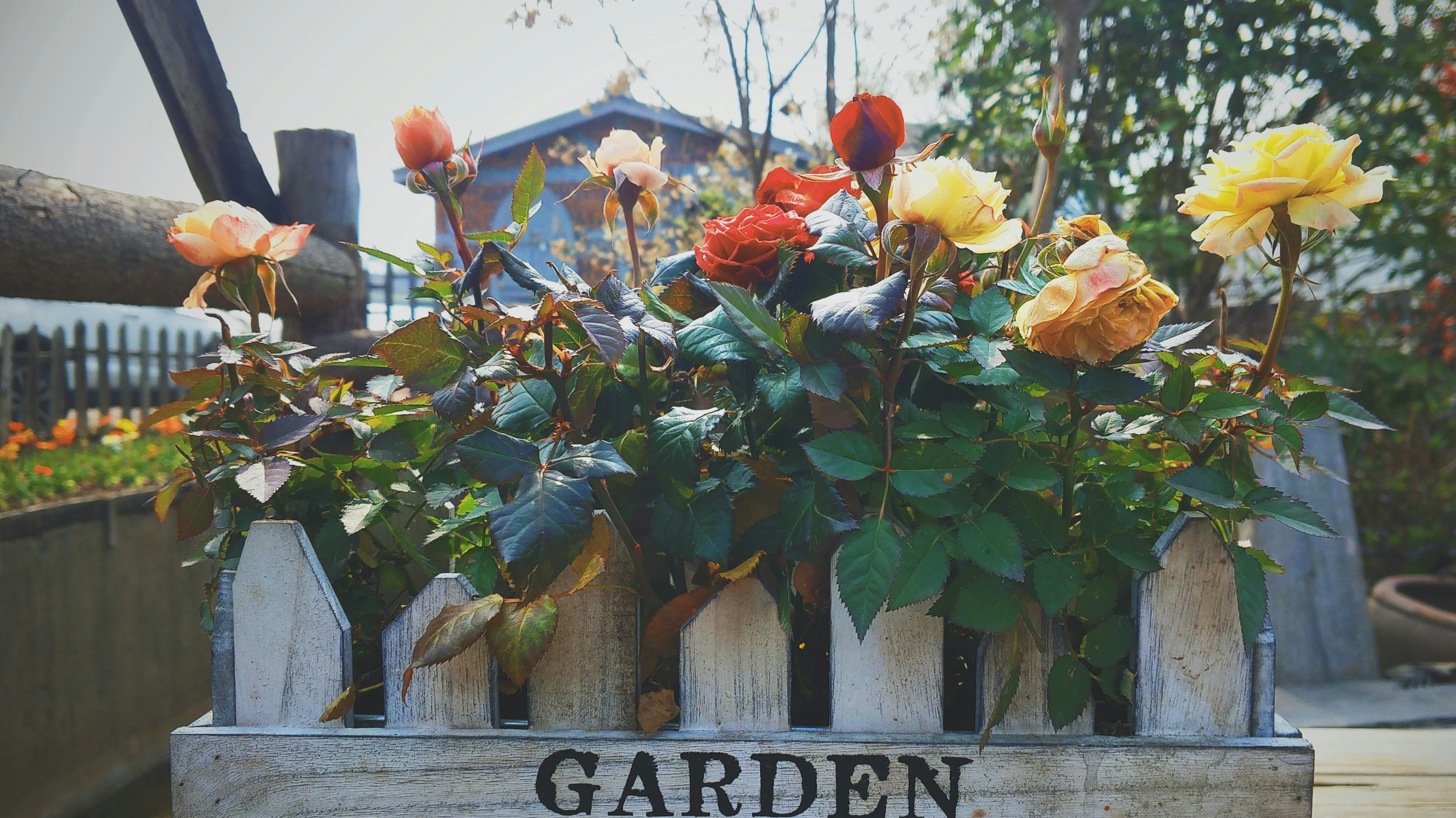 calendar_for_garden_maintenance