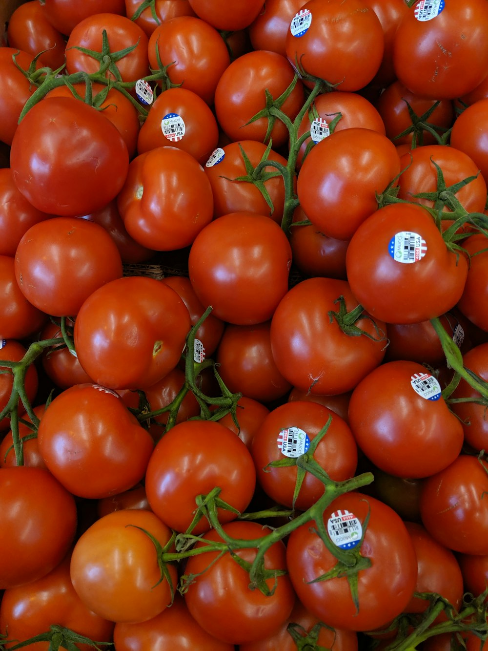 pile of tomatoes