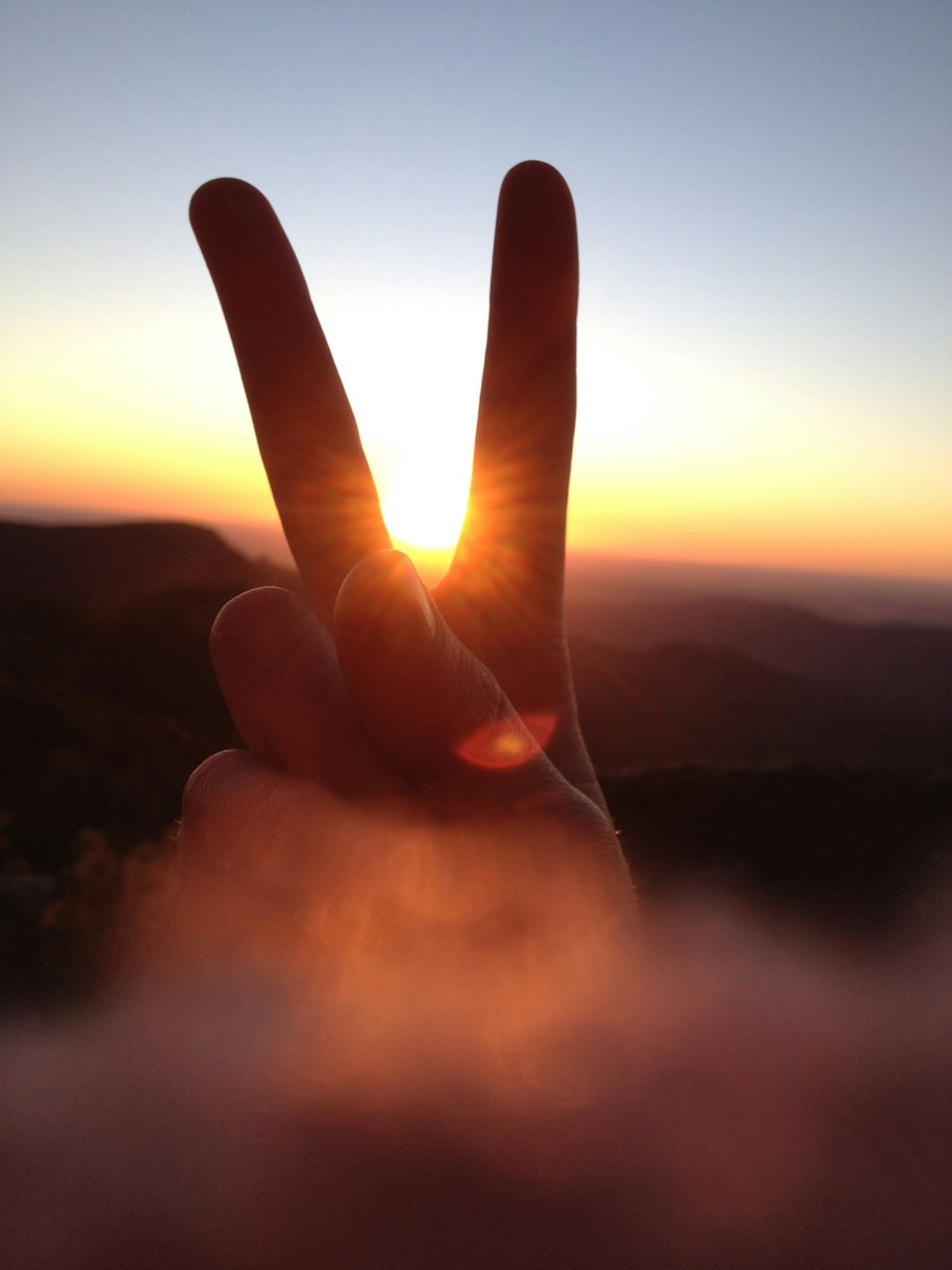 selective focus photography of peace hand sign