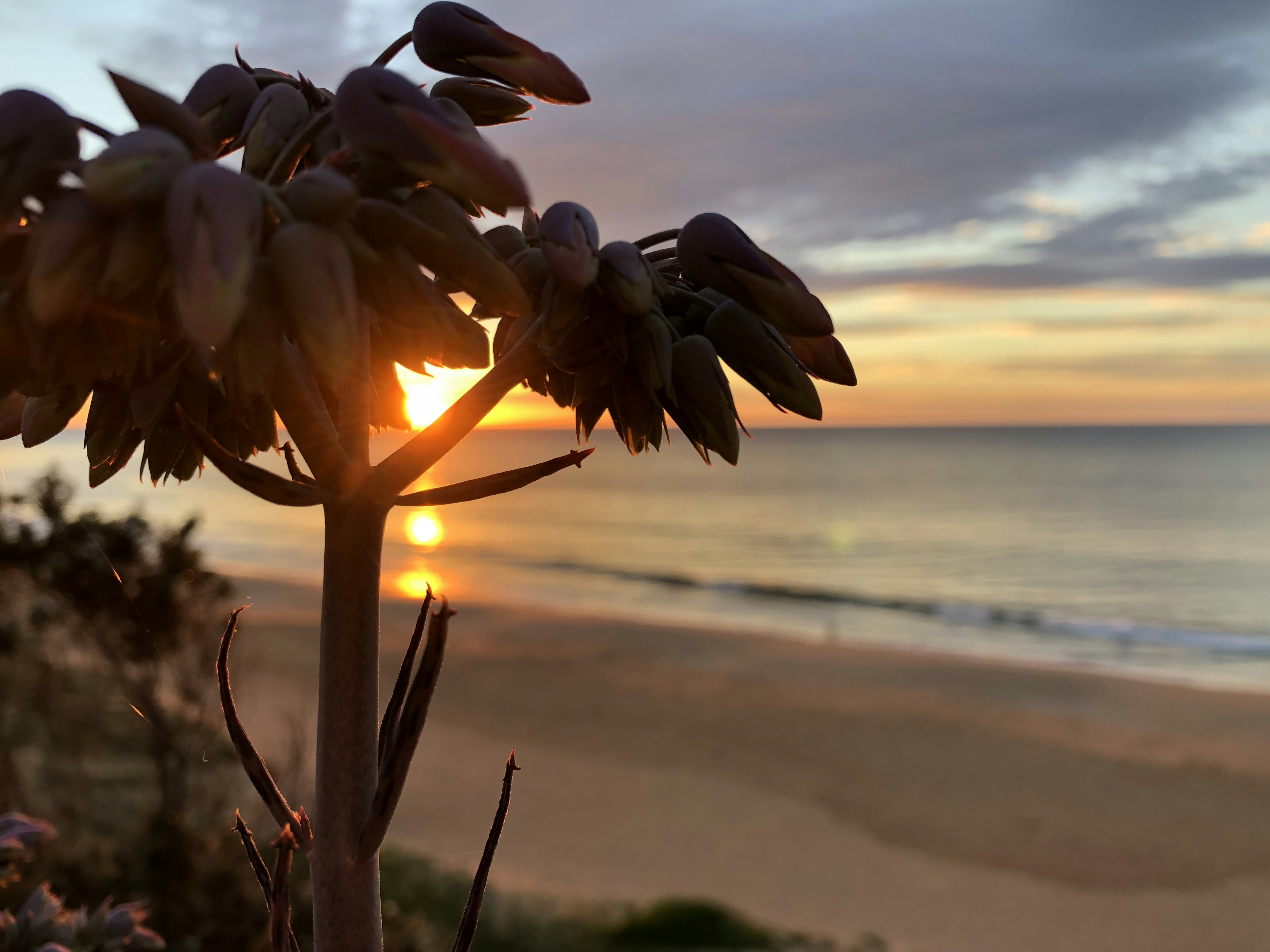 Photo by lilysphotography