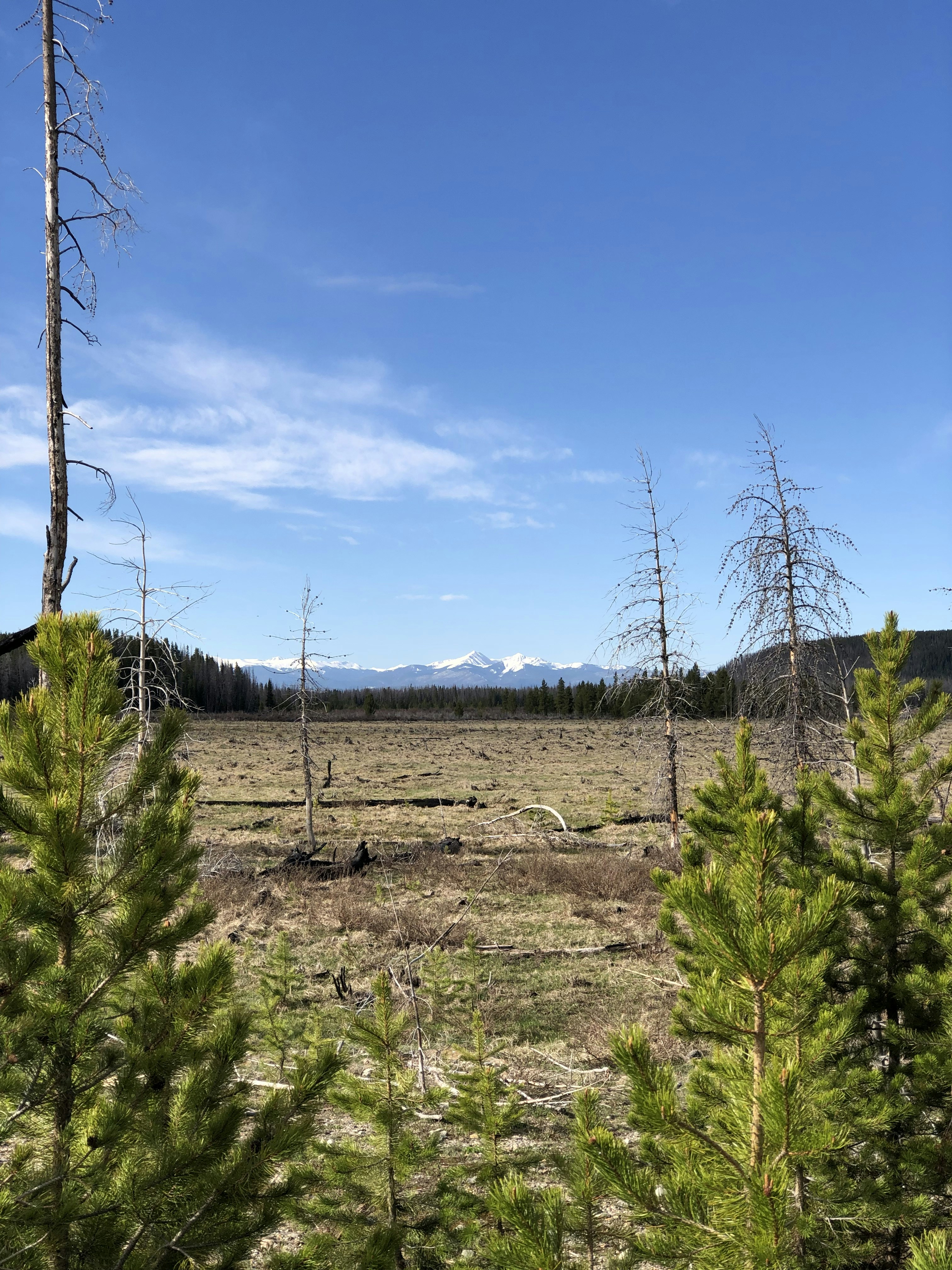 Photo by bertrame408