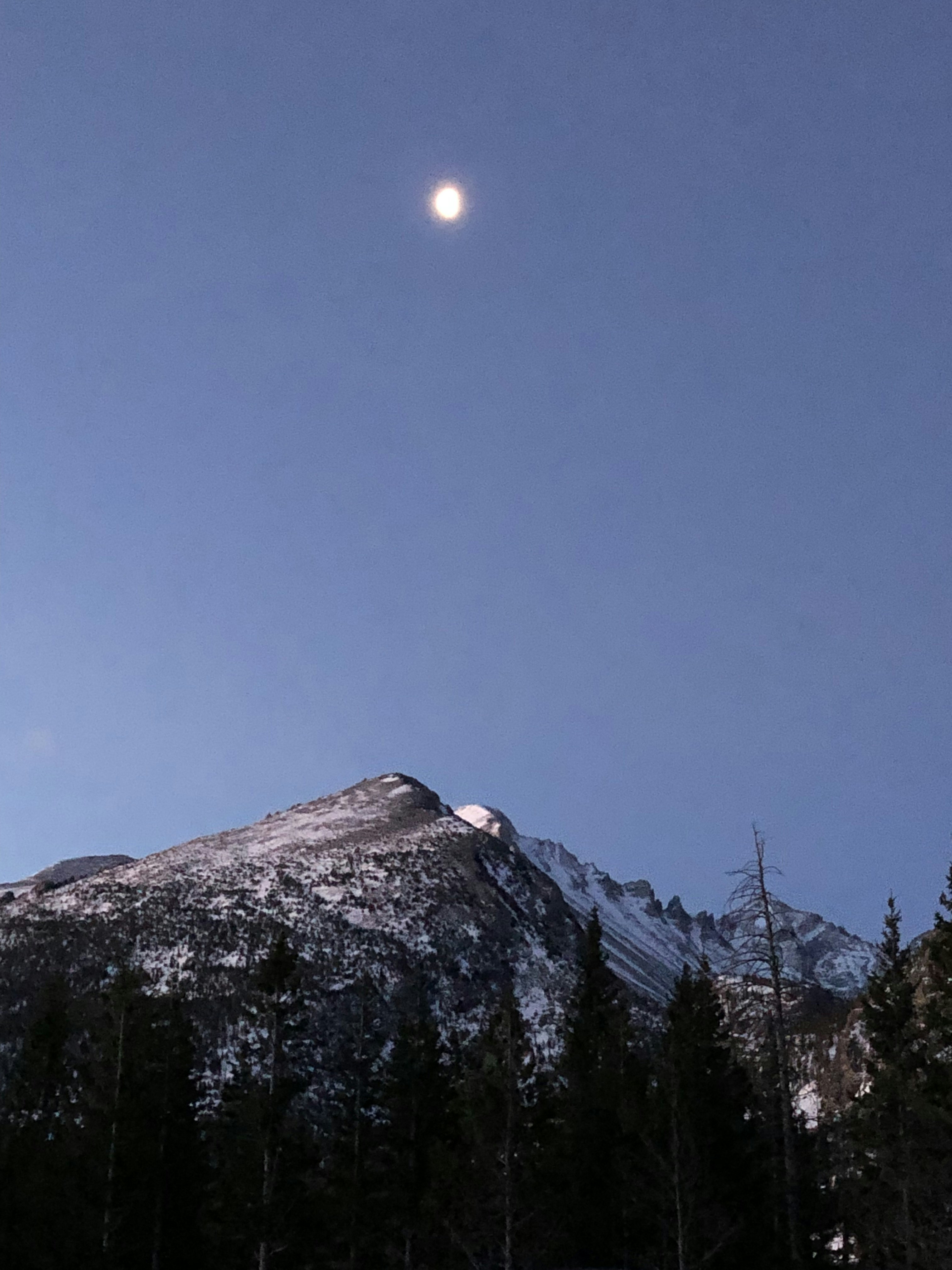 Photo by bertrame408