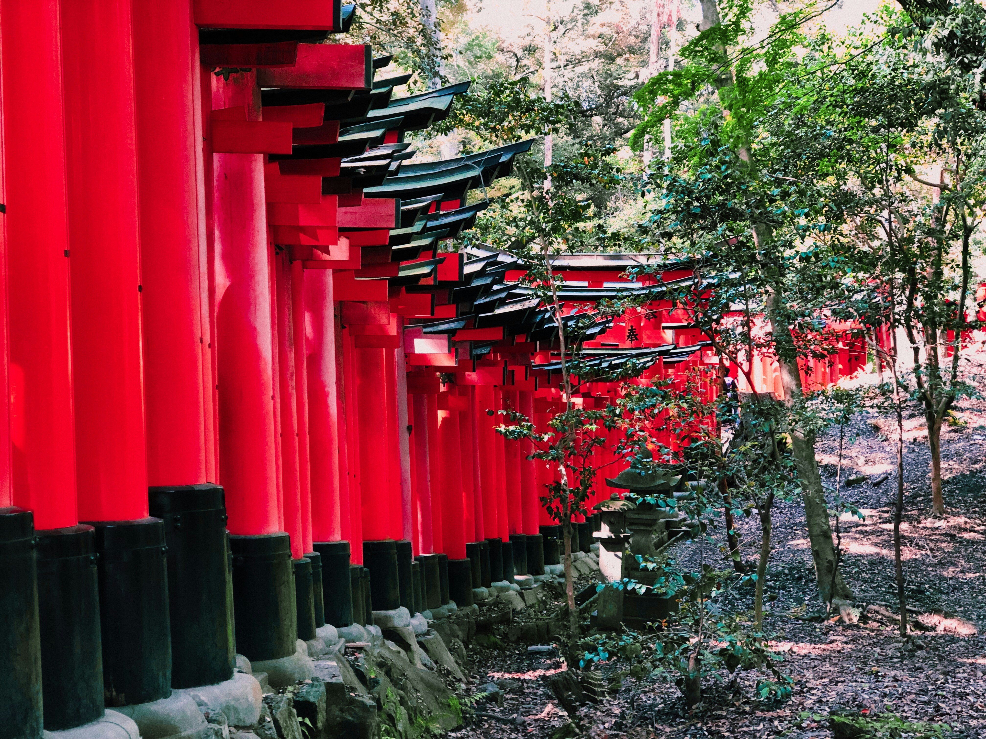 thousands of red torii gates winding up a mountain path at Fushimi Inari Taisha