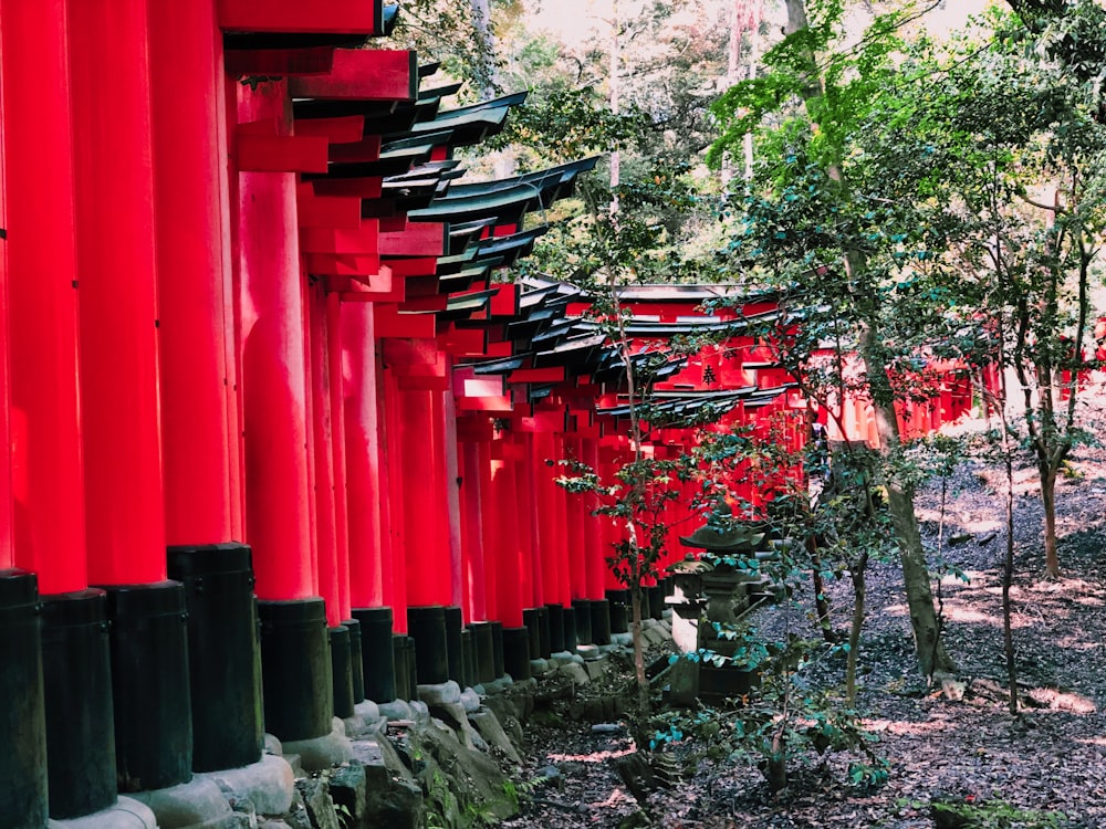 trees near torii gates