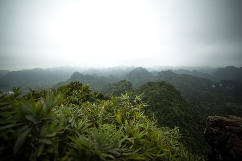 aerial photography of mountains