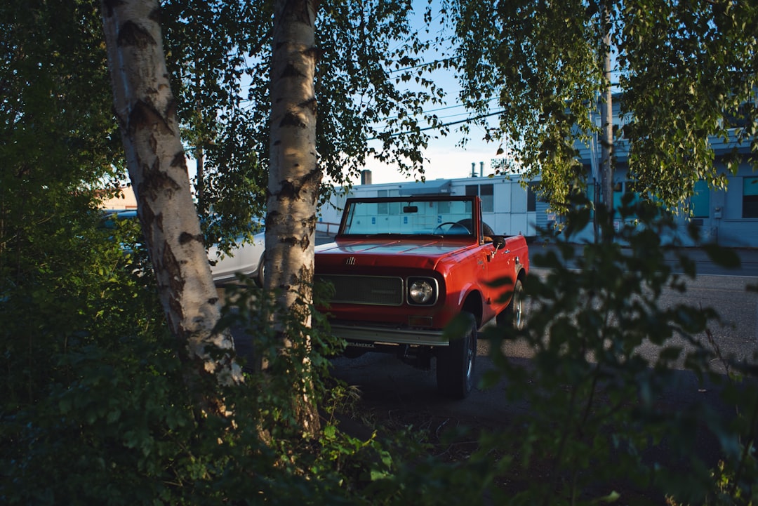 red vehicle parked beside tree