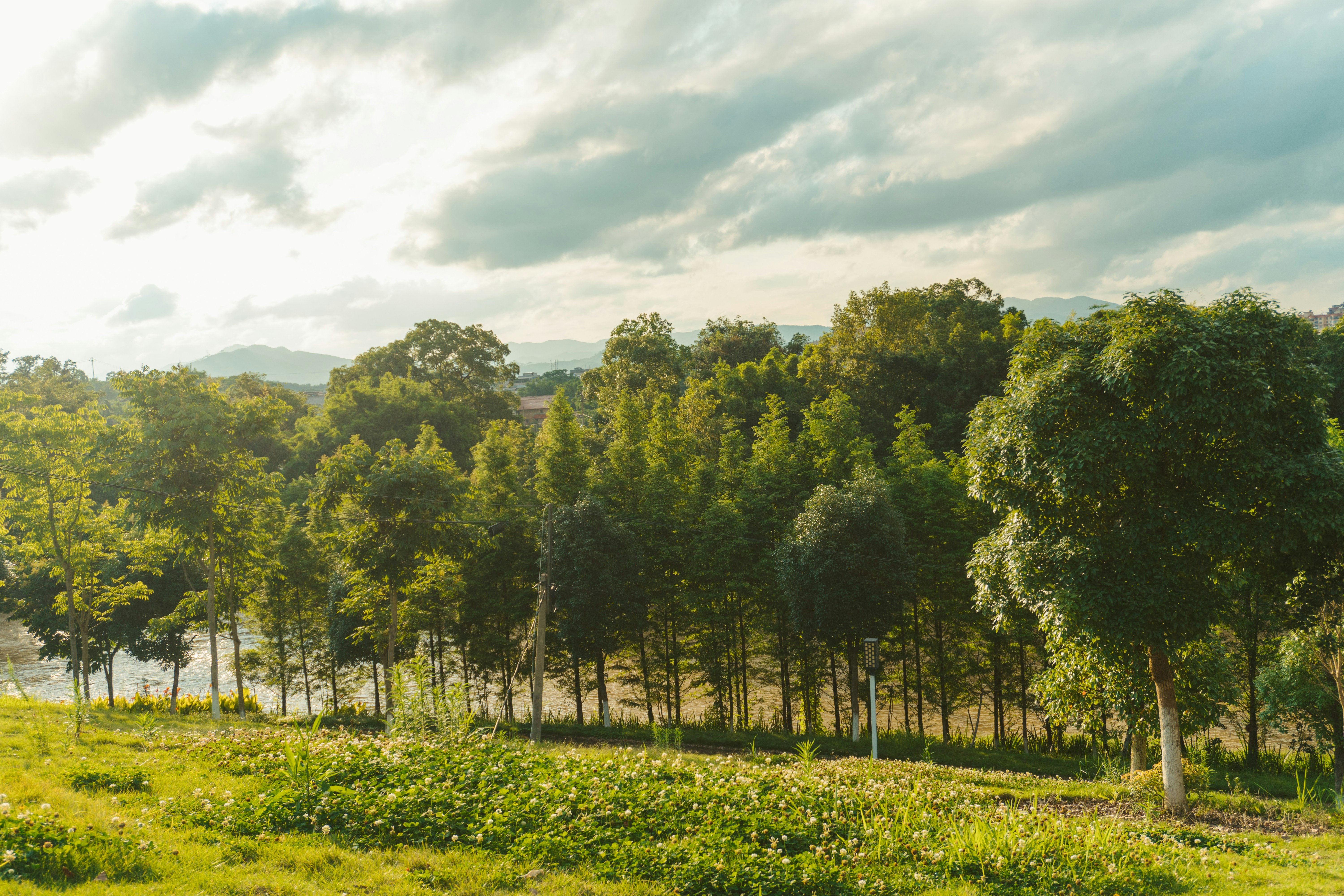 Photo by mryangpengpengpeng