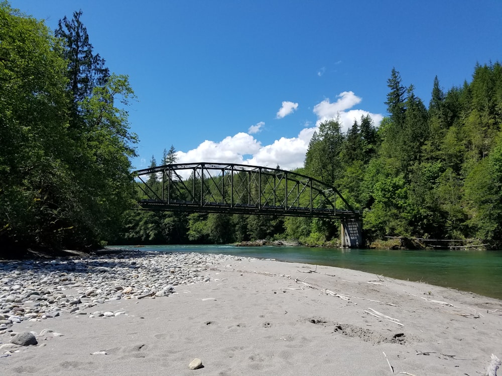 black bridge near trees