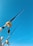 Two fishing rods are secured with their reels visible against a clear blue sky. The rods are positioned vertically and extend upwards, showcasing their sleek design and metallic components.