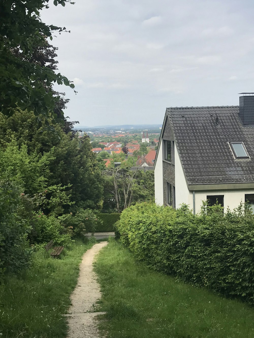 pathway between plants beside house