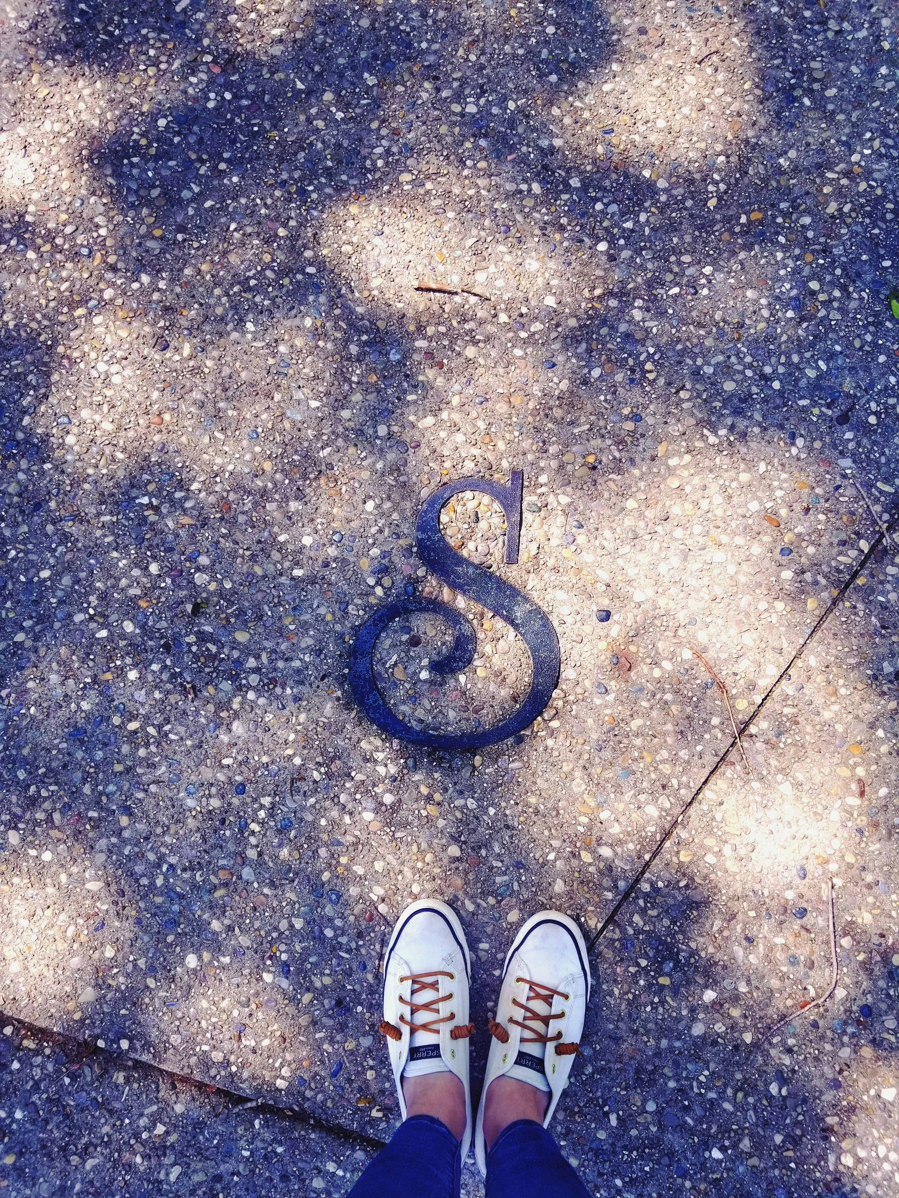 Talking a walk in a park on a beautiful holiday weekend, the light through the trees made stunning shapes on the ground. This "S" is represents a part of a ground compass to help visitors orient themselves. It was a quiet and peaceful walk through the trails that were pointed South. This is a happy place.