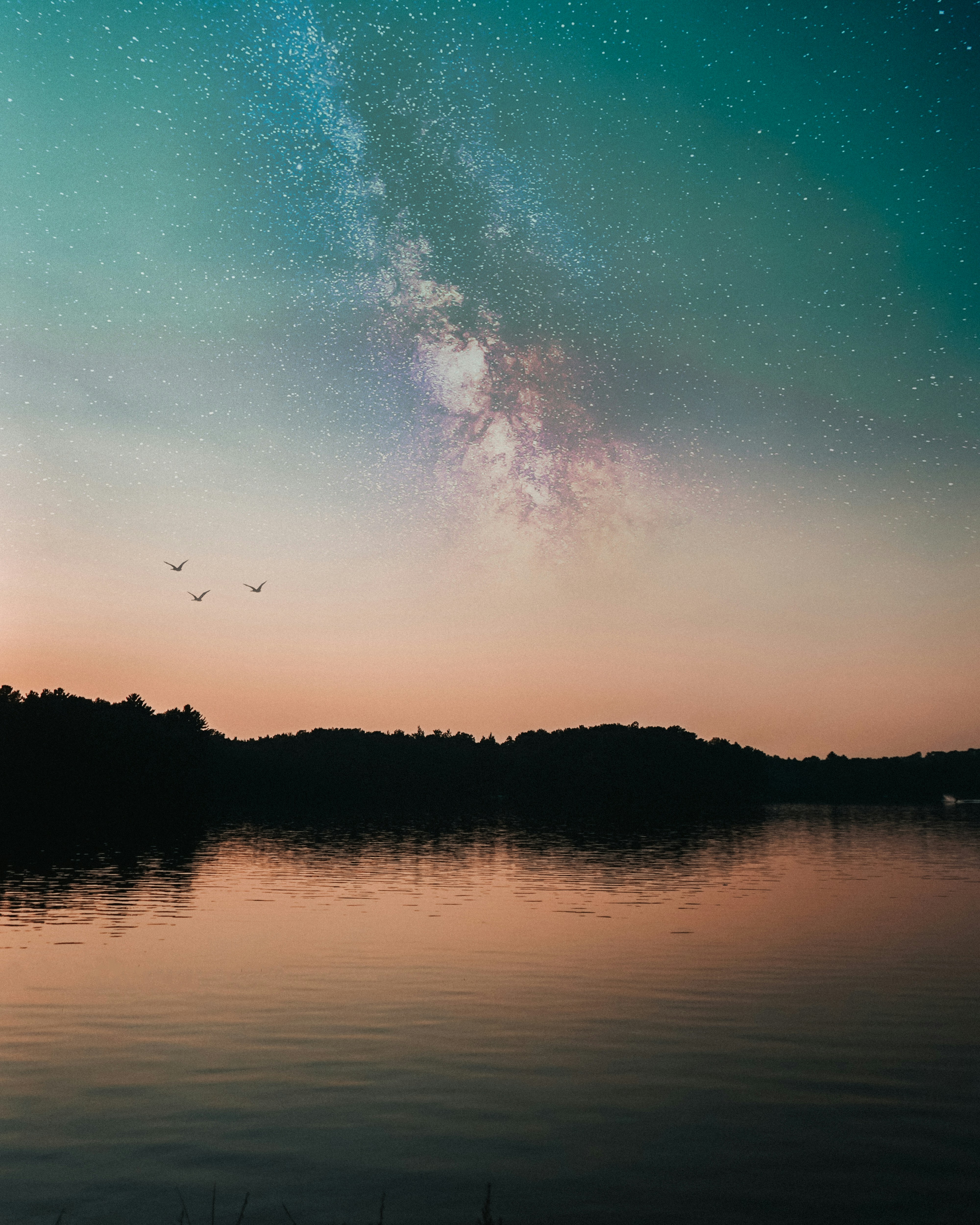 Photo by jackpouliot