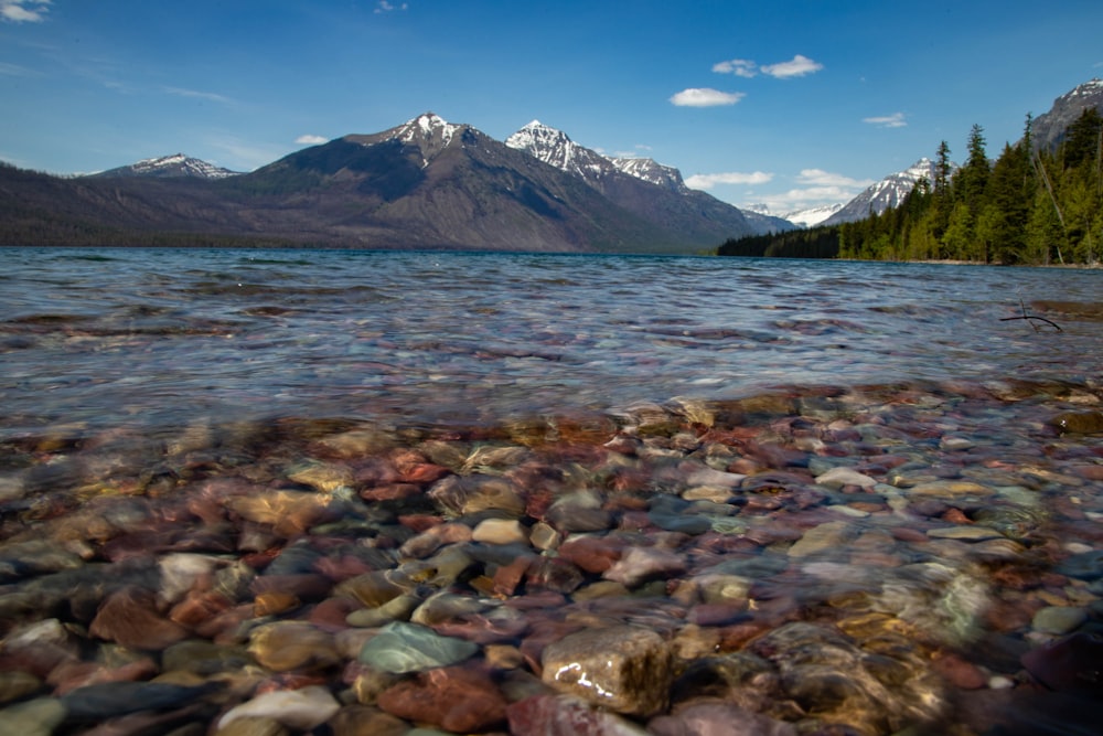 lake with rocks on shore near trees and mountains during day