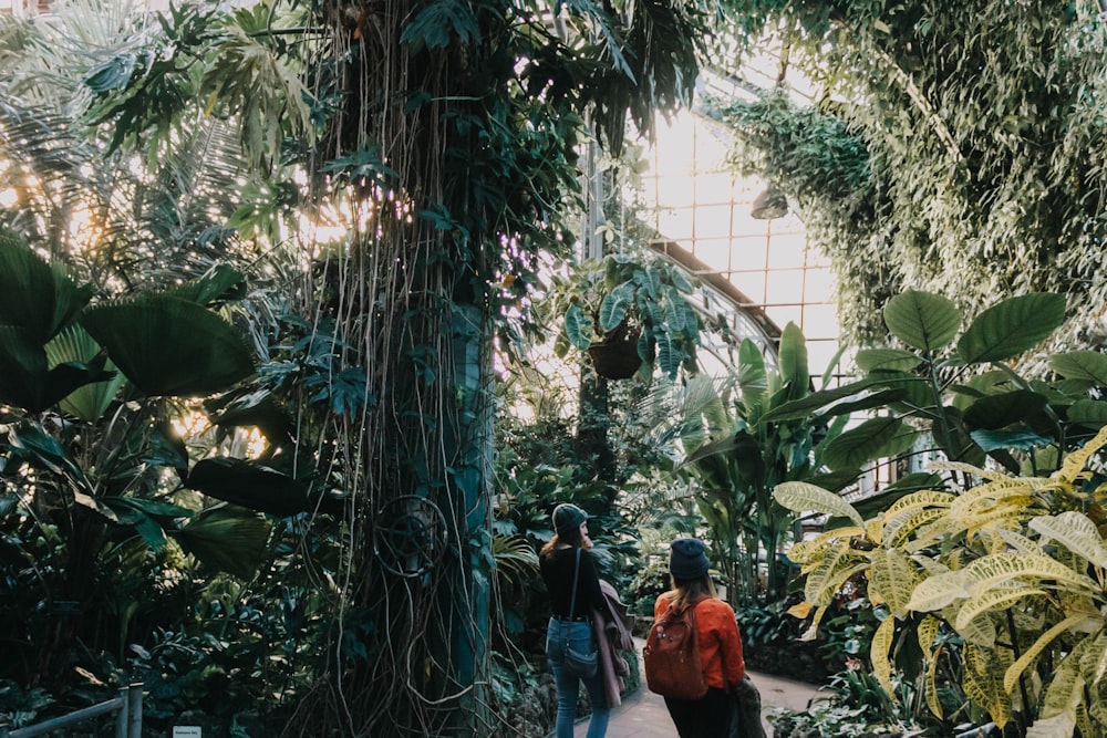 two women standing on pathway surrounded with tall and green trees