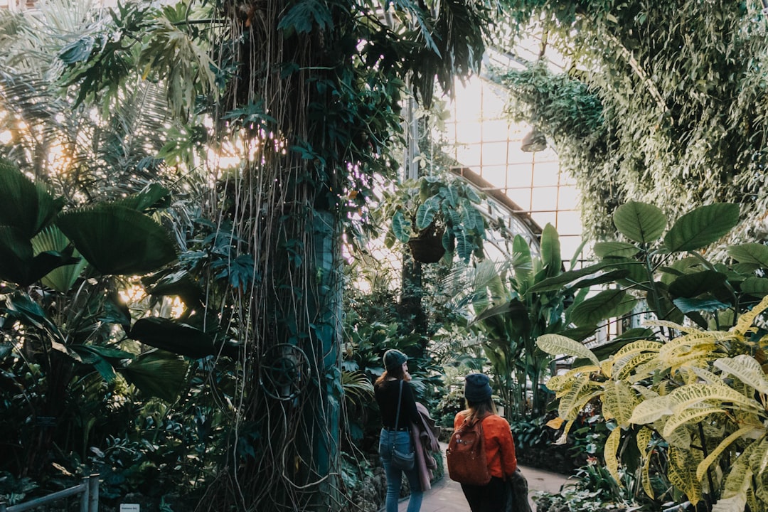 two women standing on pathway surrounded with tall and green trees,