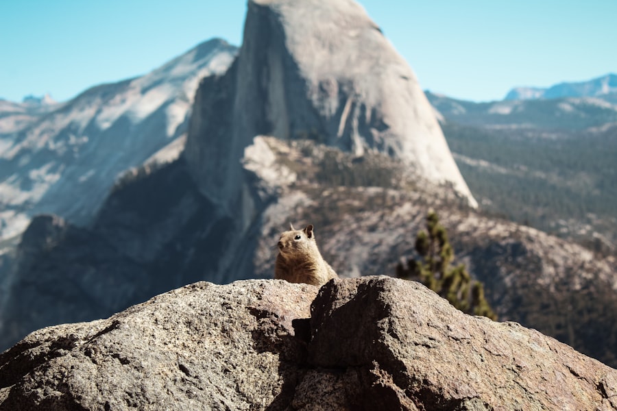 Rodent in front of mountains