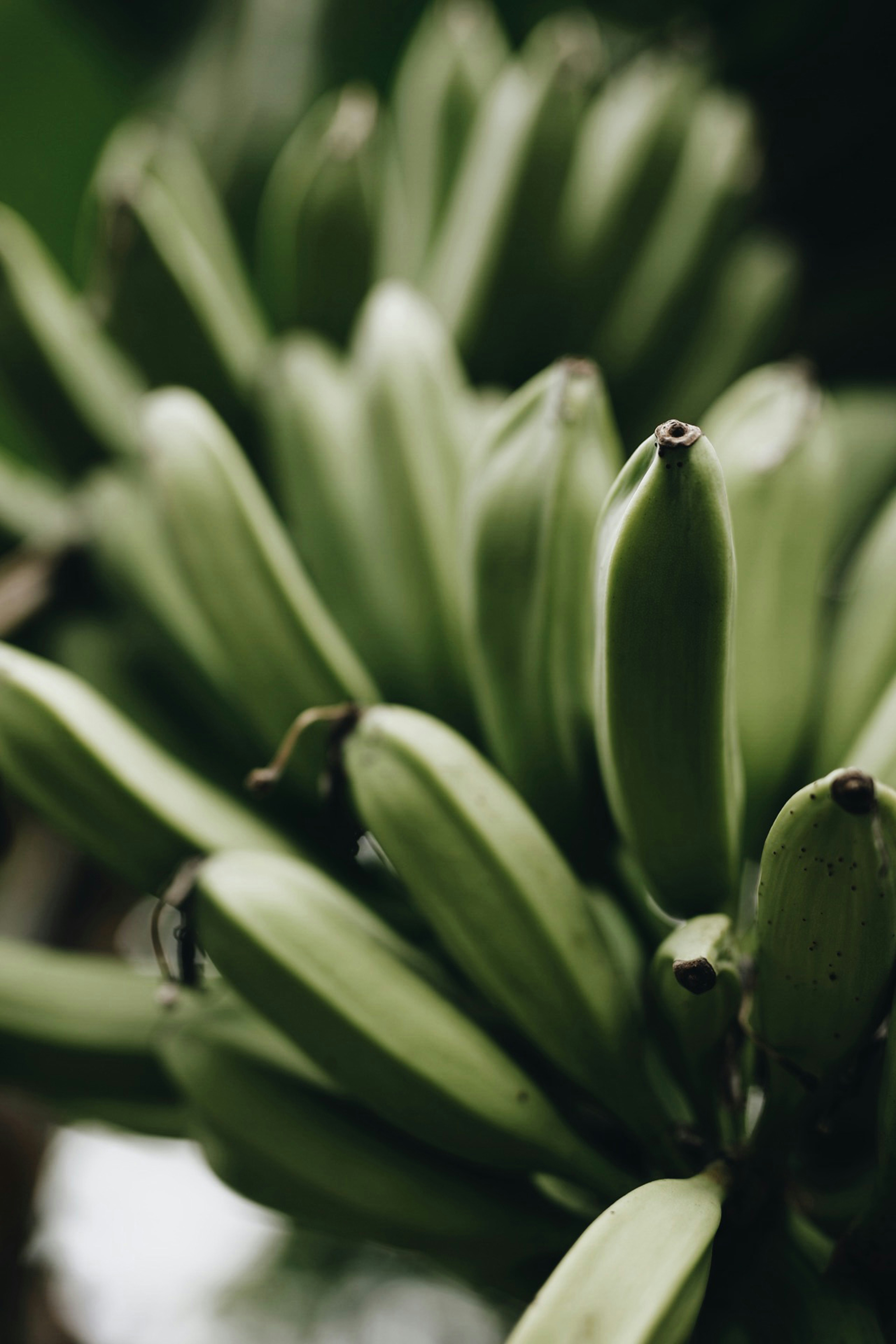 Photo by vinomamba24