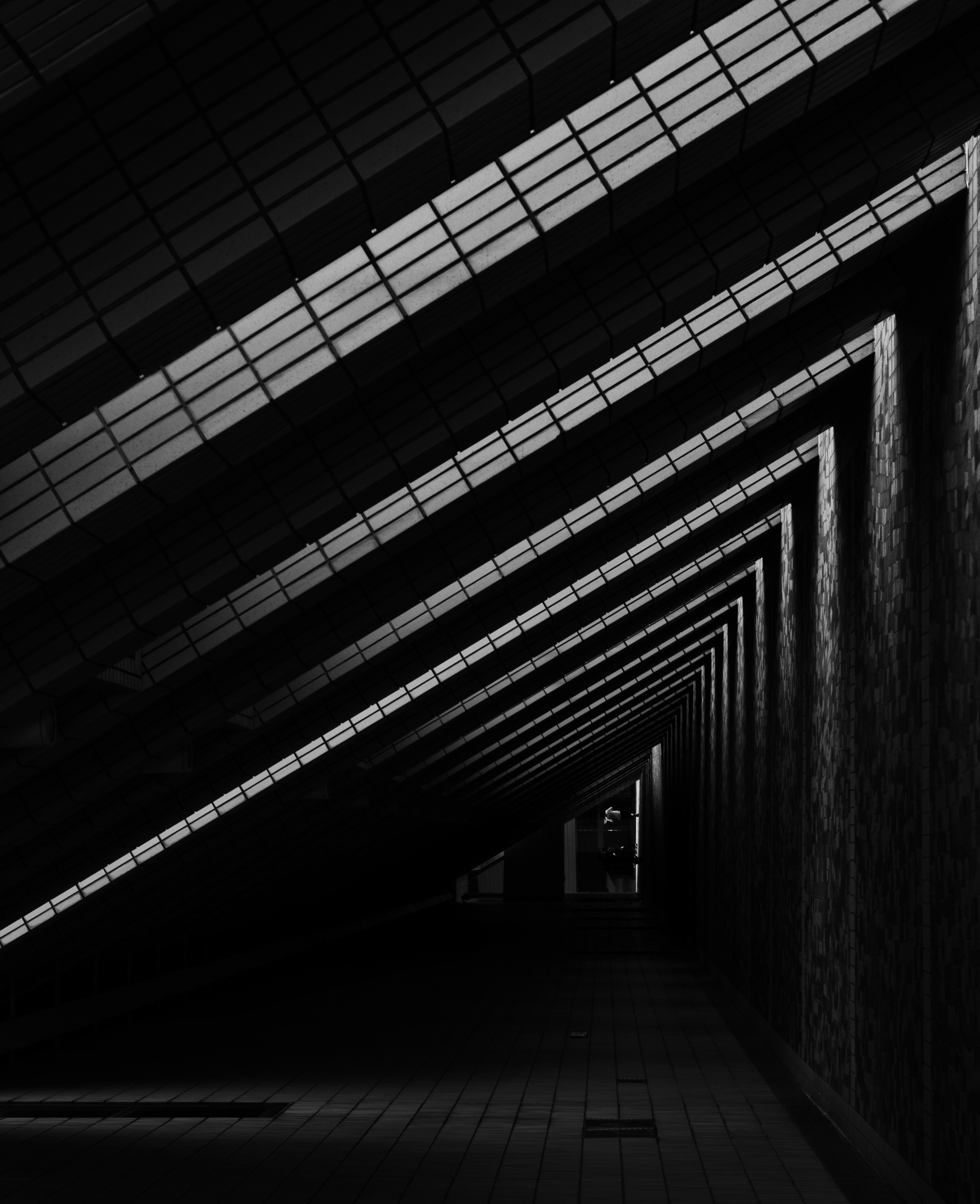 Photo by vinomamba24