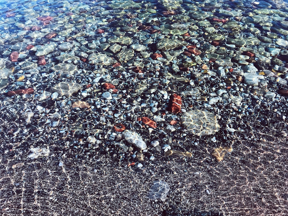 assorted-color stone formation on body of water