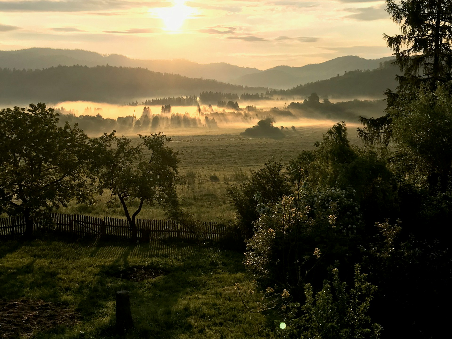 Early morning view of the charming Dordogne countryside surrounding the vibrant Chabaillac gîte, with dew-kissed wildflowers and soft sunlight.