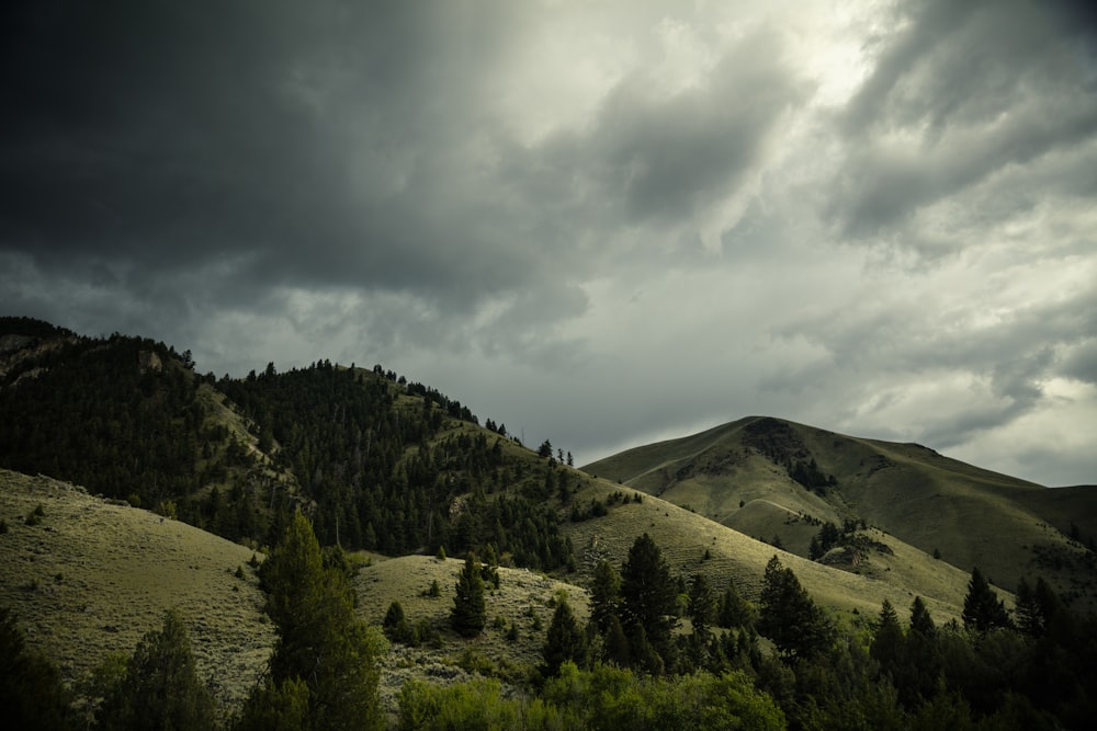 landscape photography of farm under nimbus clouds