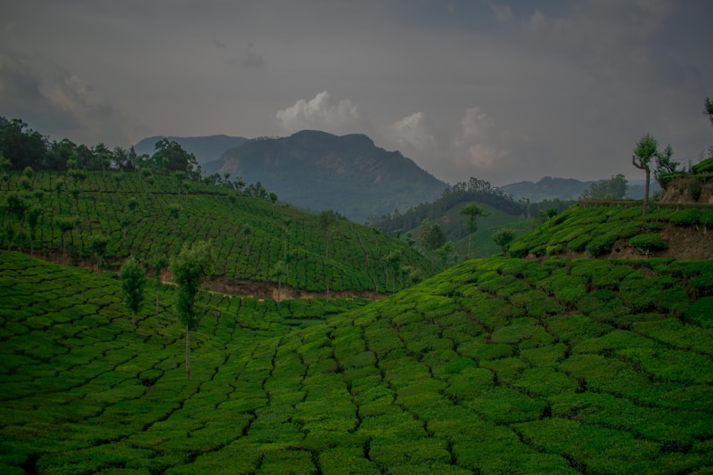 Kerala green hills