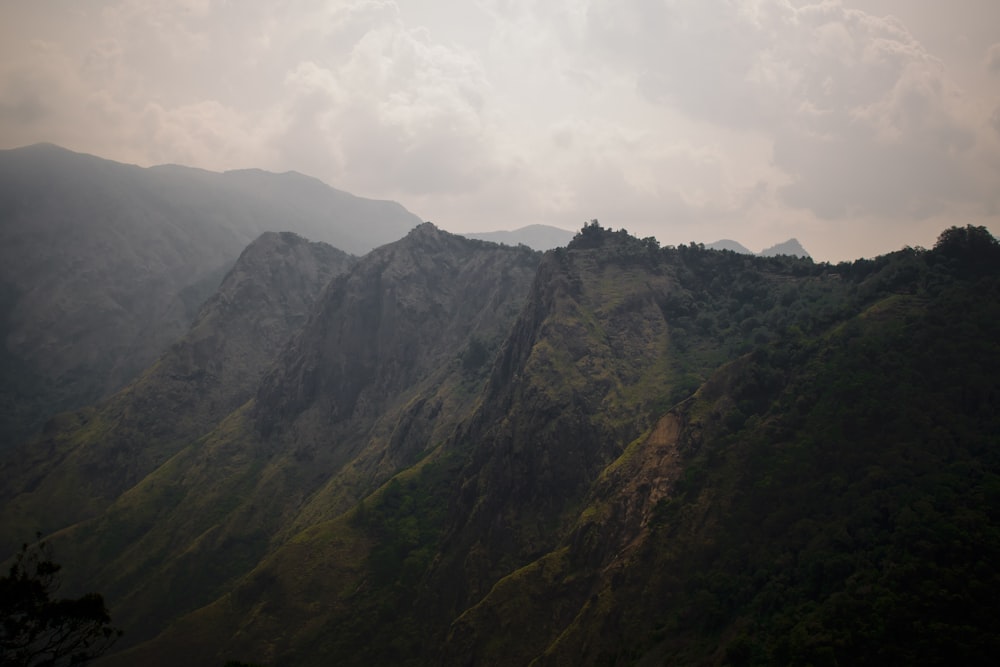 tree covered mountain under white clouds