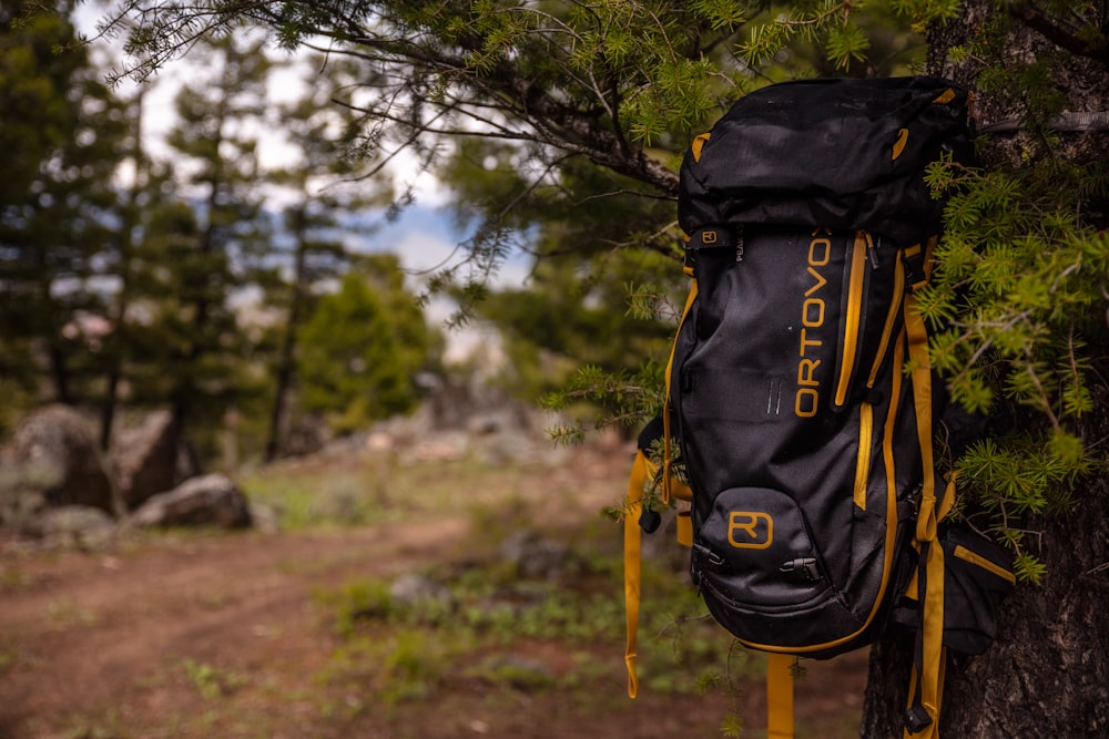 black and yellow backpack hanged on tree