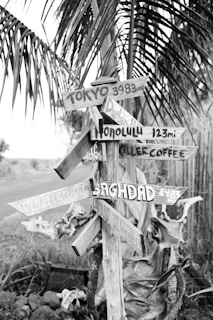 A signpost with several directional signs pointing to various cities around the world, including Tokyo, Honolulu, and Baghdad. The signpost is surrounded by tropical vegetation, including palm leaves, creating a rustic, adventurous atmosphere.