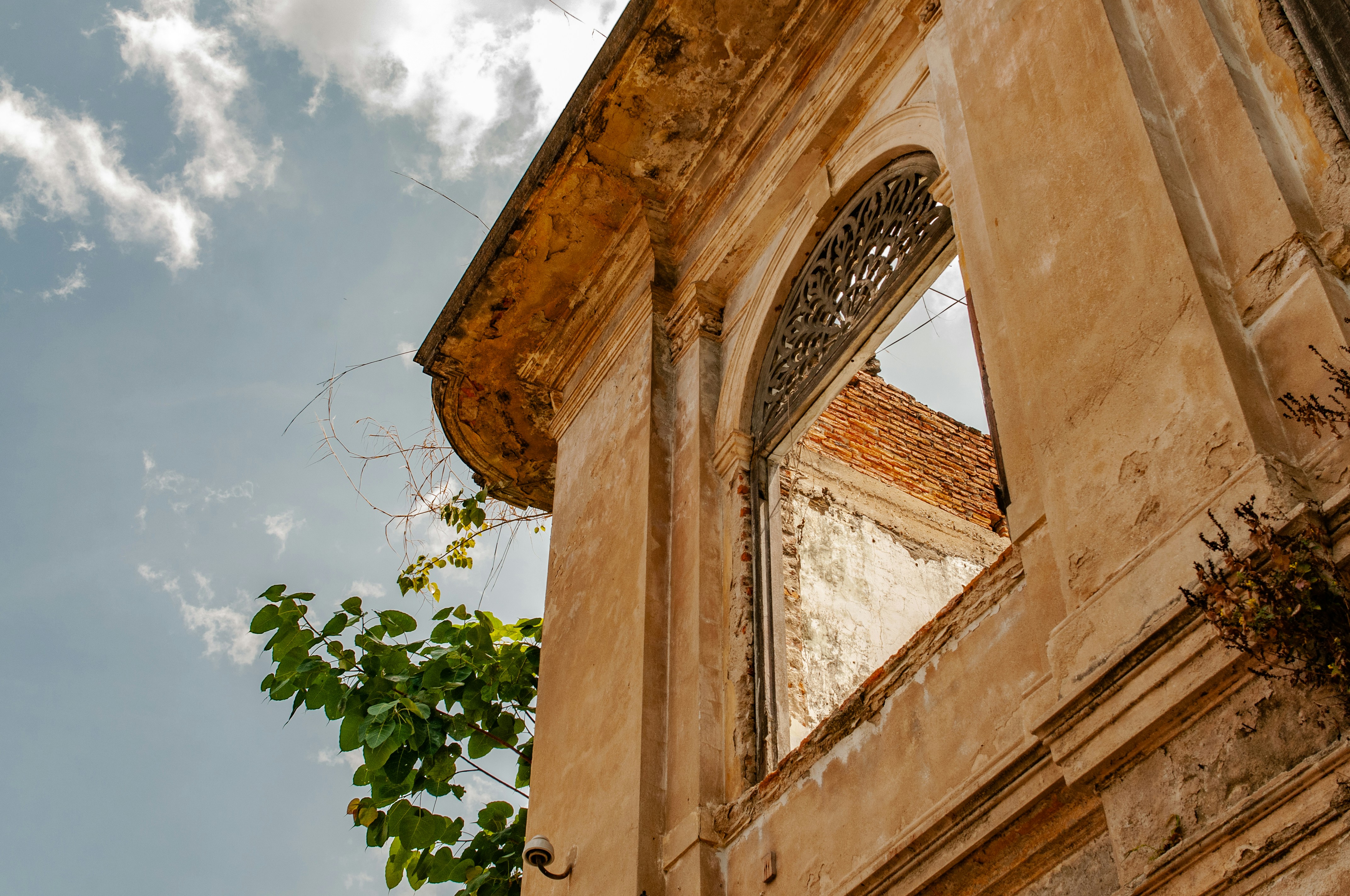 Photo by halftonecompany