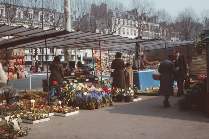 Introducing Your One-Stop Modern Plant Marketplace