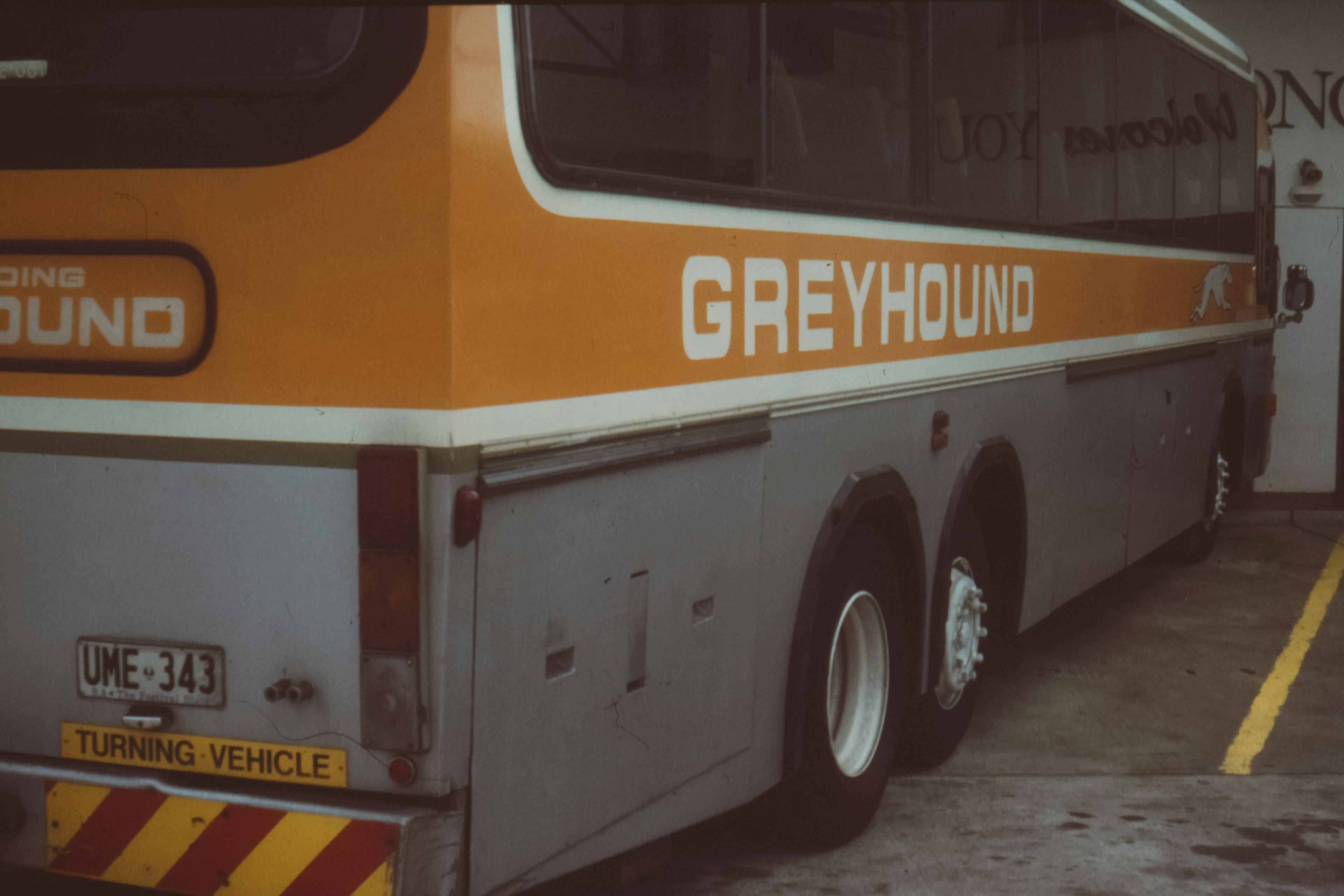 orange and grey Greyhound bus parked in building