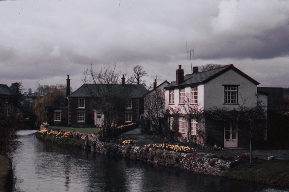 two white-and-black house