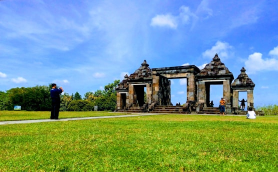 brown and black ruins during daytime