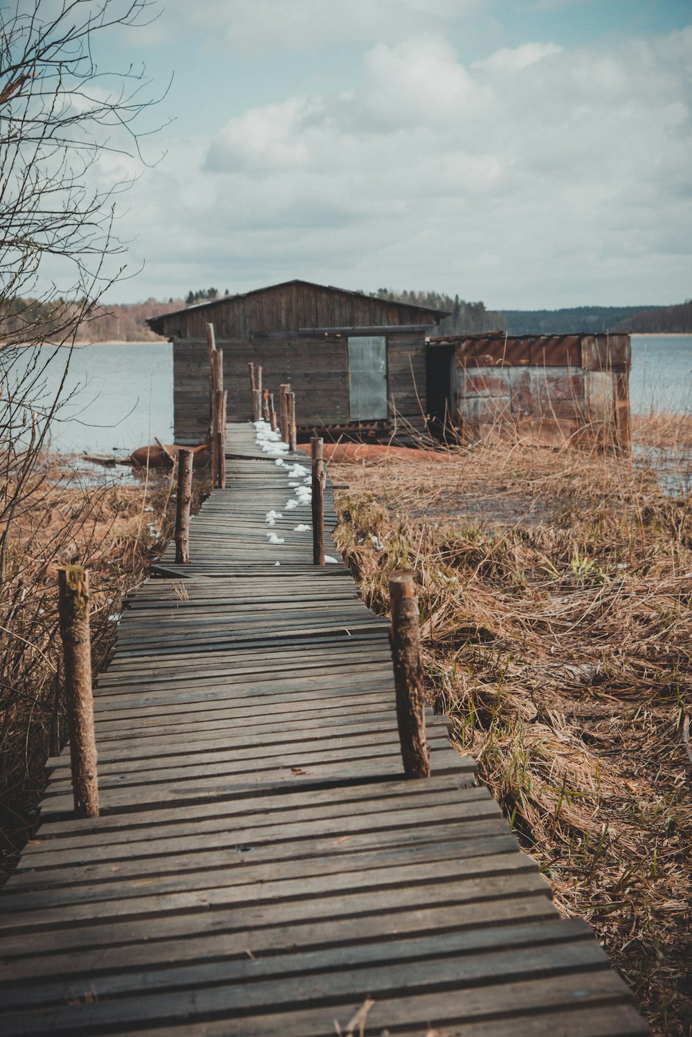 wooden dock near house